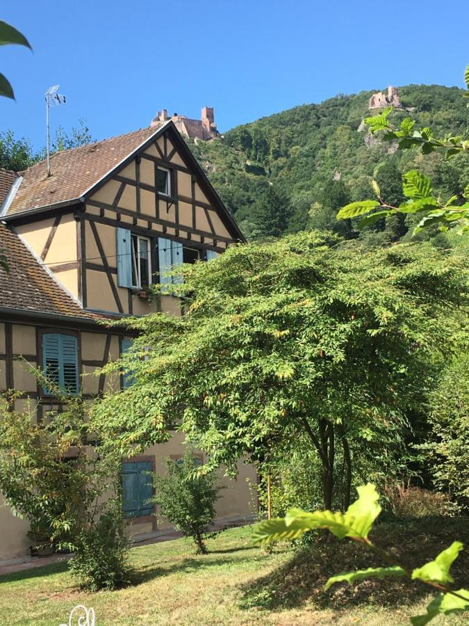 Le Gite Du Moulin Ribeauville  Ngoại thất bức ảnh